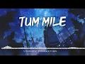 Tum Mile (loFi Remake) //Emraan // Pritam // Neeraj Shridhar// Lofi ep // DJ Rohan//