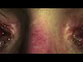 TRUMPETS (Visualizer) (feat. 070 Shake) - _BY.ALEXANDER