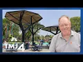 New solar trees could be future of renewable energy