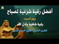 Download Lagu أفضل رقية شرعية في صباح يوم االسبت علاج الحسد_السحر_العين _حفظ وتحصين للمنزل