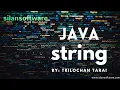 JAVA String Tutorial Core JAVA SILAN Software
