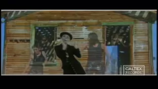                                    بلک کتس   لیلی دندنها