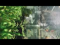 YENTED - หินหยดลงน้ำ (adore) ft. Minchang, gomen.[Jurassic.Pew Remix]