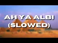 Ah Ya Albi ( S L O W E D )