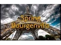 Download Lagu Spring - Bourgenvilla