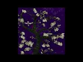 JVKE, Bryant Barnes, Emilio Piano - juliet [1 hour]