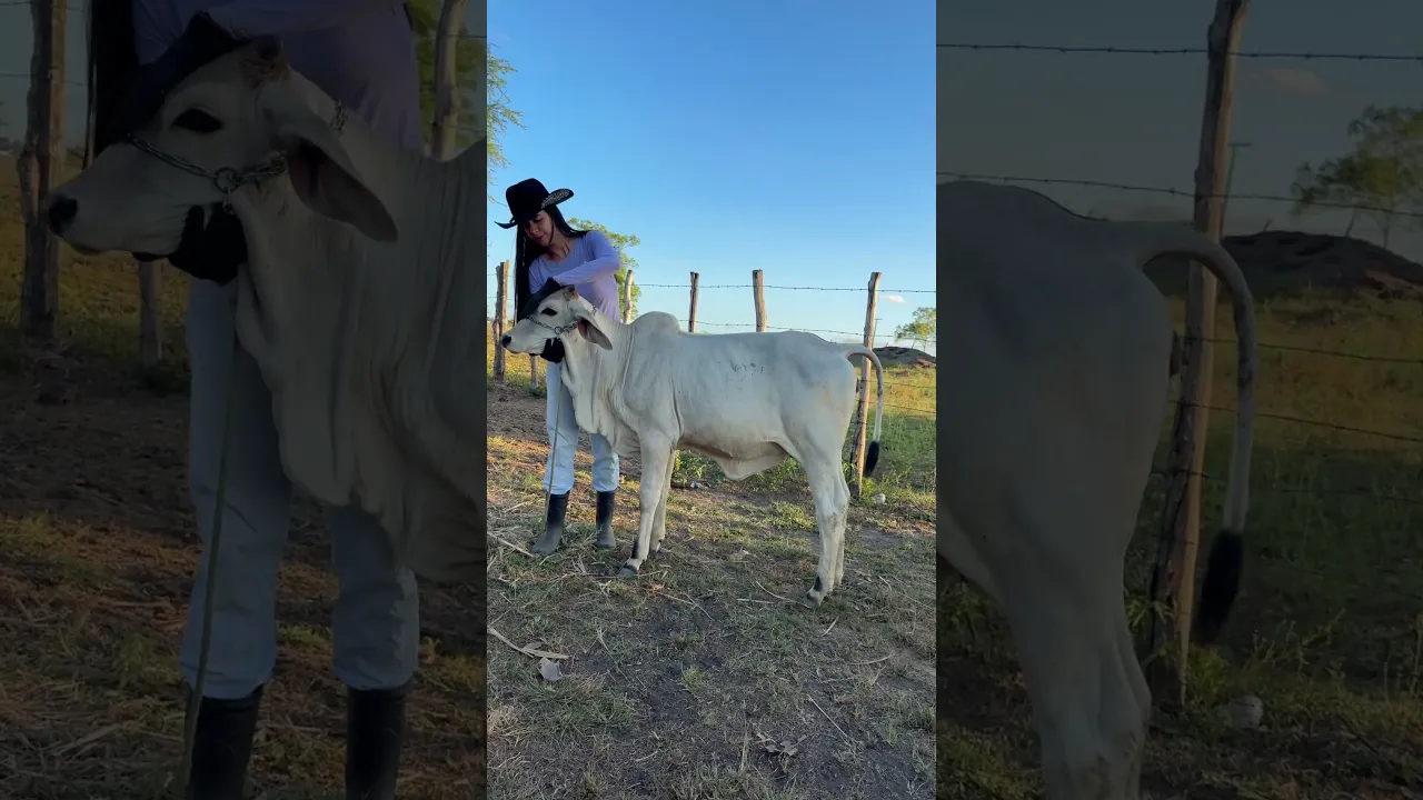 FELIPA-LF aos 6 meses!