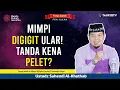 Download Lagu ❤️Mimpi Digigit Ular! Tanda kena PELET? Tanya Jawab CINTA Ustadz Suhendi Al Khathab +6287874529702