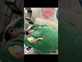 Experience Comfort and Style with the Turtle Shell Pillow