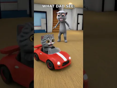 What My Cat Imagines VS What His Dad Sees Reality 😂 #memes