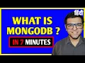 What is MongoDB in Big Data Analytics in Hindi