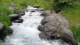 White noise dari sungai pegunungan cocok untuk relaksasi, meditasi, dan tidur cepat #relaksasi