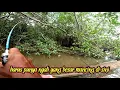 Download Lagu Mancing di hutan pedalaman jambi ikan beraneka ragam dan besar² || sungai patin ||