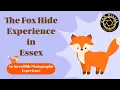 Lagu The fox hide experience