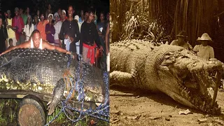 The Biggest Crocodiles Ever Measured (The Record Holder Has No Name)