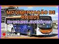 Download Lagu Movimentação de Ônibus no Terminal Justinópolis em Ribeirão das Neves - MG | + Bonus no Final !!