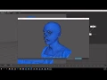 Wrap3 Processing