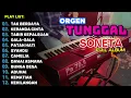Download Lagu TAK BERDAYA - FULL ALBUM RHOMA IRAMA ORGEN ELEKTONE TERBARU 2025 | Clarity