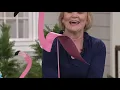 Barbara King 48 Tall Fluttering Bird Garden Stake on QVC