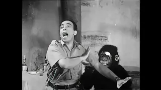 اعلان نادر لفيلم اسماعيل يس في بيت الأشباح 1951 بطولة اسماعيل يس كمال الشناوي ثريا حلمي ميمي شكيب 