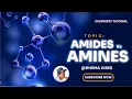 Organic Chemistry Amines and Amides