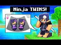 I m PREGNANT with NINJA TWINS In Minecraft