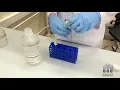 Pigment Extraction Workshop Tutorial