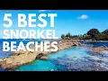 Where to Snorkel on Oahu Hawaii 5 Best Snorkel Spots on Oahu