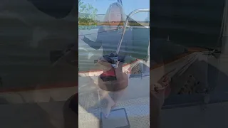 Boatlife can be… #sailingcouple #isolation