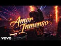 Alan Walker, Nek - Amor Inmenso (Style Walker Remix 2026)
