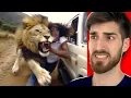 Download Lagu Oameni EXTREM de Norocoși!! *Partea 3