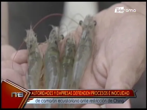 Autoridades y empresas defienden procesos e inocuidad de camarón ecuatoriano ante restricción de China
