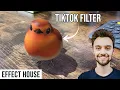 Create an AR TikTok Filter Effect house beginners tutorial