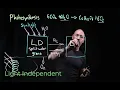 Photosynthesis - easy way to remember the key processes