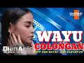 Download Lagu Dian Anic Terbaru | Wayu Colongan