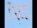 Download Lagu Viral Suara Burung Walet HEXAGONAL BIRAHI Pemutus Jalur Lintasan. Cara Download ada di dalam Video..