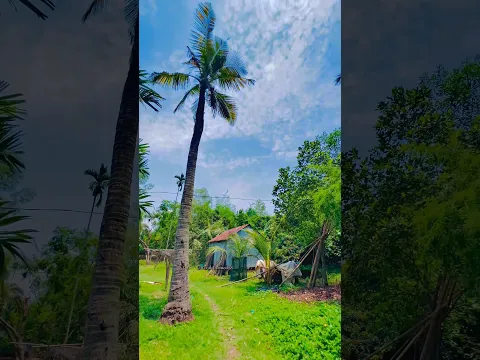 প্রতিটা মানুষের সফলতার পিছনে লুকিয়ে থাকে কত না পাওয়ার আর্তনাদ ❤️‍🩹😊 #foryou #foryoupage #vairal