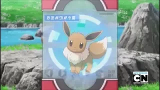 Eevee Pokedex Entry - A Frolicking Find In The Flowers