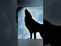 Download Lagu Wolf howling to the moon