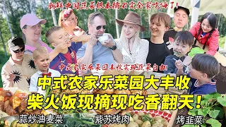 在芬兰打造中式农家乐菜园大丰收！做成铁锅柴火饭烤串香翻芬兰家人！回国前大采摘根本摘不完！