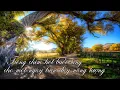Download Lagu Tiếng Chim Hót Buổi Sáng Trong Lành Cho Một Ngày Đầy Năng Lượng