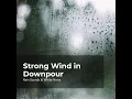 Howling Wind in Rain