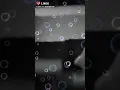 Download Lagu Masa gara2 masalah sepele 😂😂
