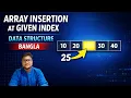 Insert an Element in Array at Specific Index Data Structure Bangla