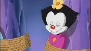 Wakko s wish dot cute scene