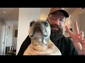 August Burns Red - Behemoth (Live Q&A)