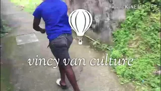 Vincy vans drivers be like
