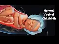 Download Lagu How Normal Delivery Occurs 😍 Stages of Normal Labor and Vaginal Delivery