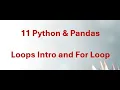 11 Python Pandas - Loops Explained