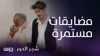 مسلسل شجر الحور الحلقة 15 دروسو تتعرض لمضايقات وكلمات مهينة 
